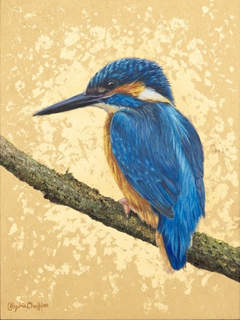 Sophia Chalklen&nbsp;&nbsp;|&nbsp;&nbsp;Kingfisher on Gold