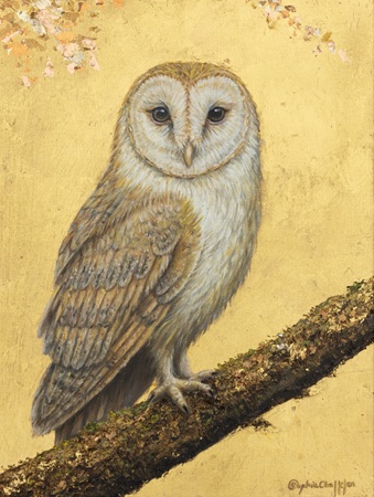 Sophia Chalklen&nbsp;&nbsp;|&nbsp;&nbsp;Barn Owl on Gold