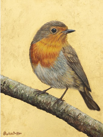 Sophia Chalklen&nbsp;&nbsp;|&nbsp;&nbsp;Robin on Gold