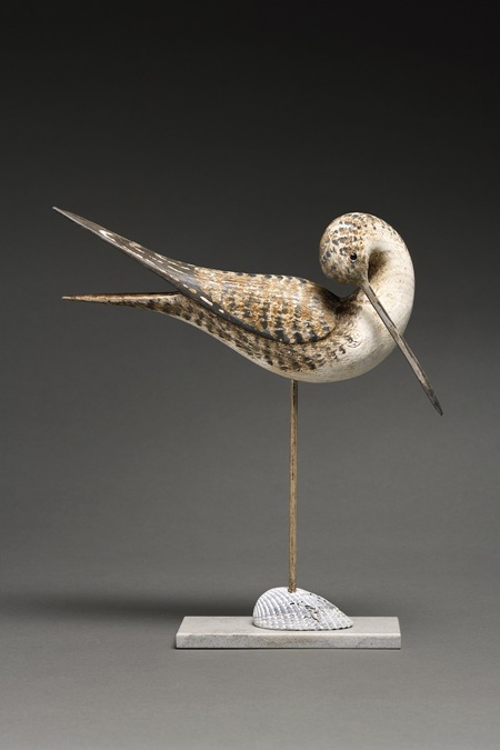 Stephen Henderson&nbsp;&nbsp;|&nbsp;&nbsp;Shorebird Preening