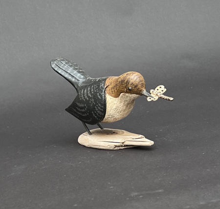 Stephen Henderson&nbsp;&nbsp;|&nbsp;&nbsp;Dipper with Mayfly